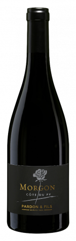 Morgon - « Côte du Py - Vieilles Vignes » - Pardon & Fils, Biodynamic wine