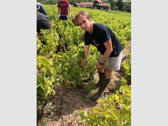 Vendanges 2018 au Domaine Pardon !