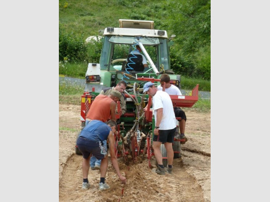 Renouvellement de la plantation dans notre Domaine à Fleurie !