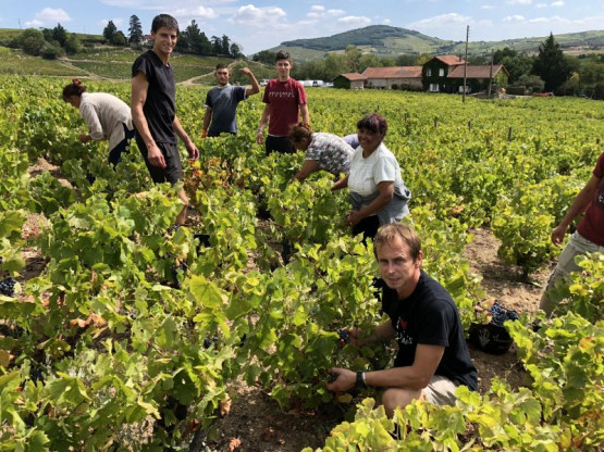 Vendanges 2018 au Domaine Pardon !