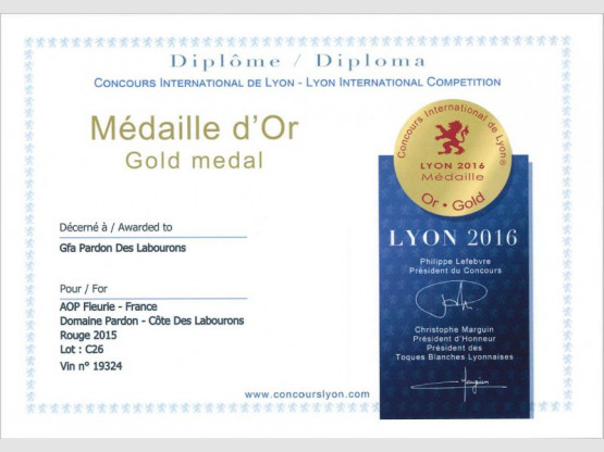 Deux médailles d'Or au Concours International de Lyon !