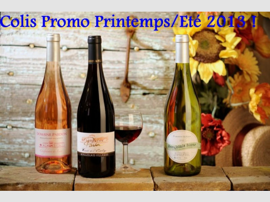 Promotion Printemps/Eté 2013 !