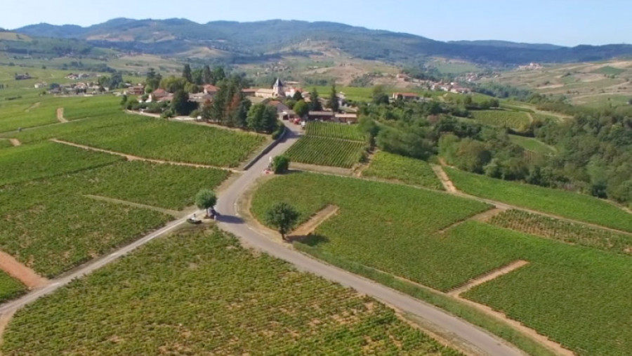 Le Beaujolais… Un Vignoble d’Exception