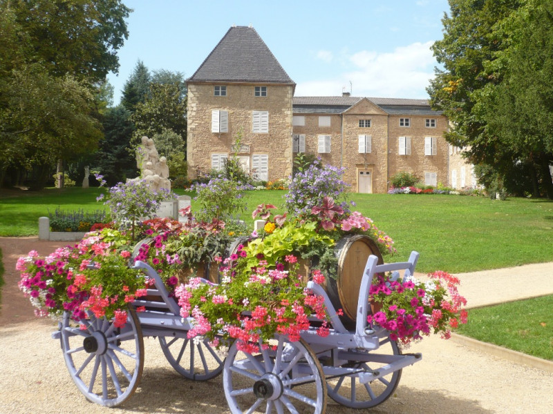 Beaujolais ... An Exceptional Vineyard