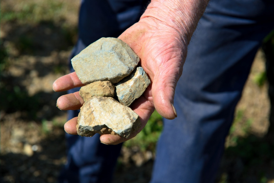 Beaujolais ... An Exceptional Vineyard