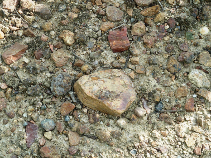 Beaujolais ... An Exceptional Vineyard
