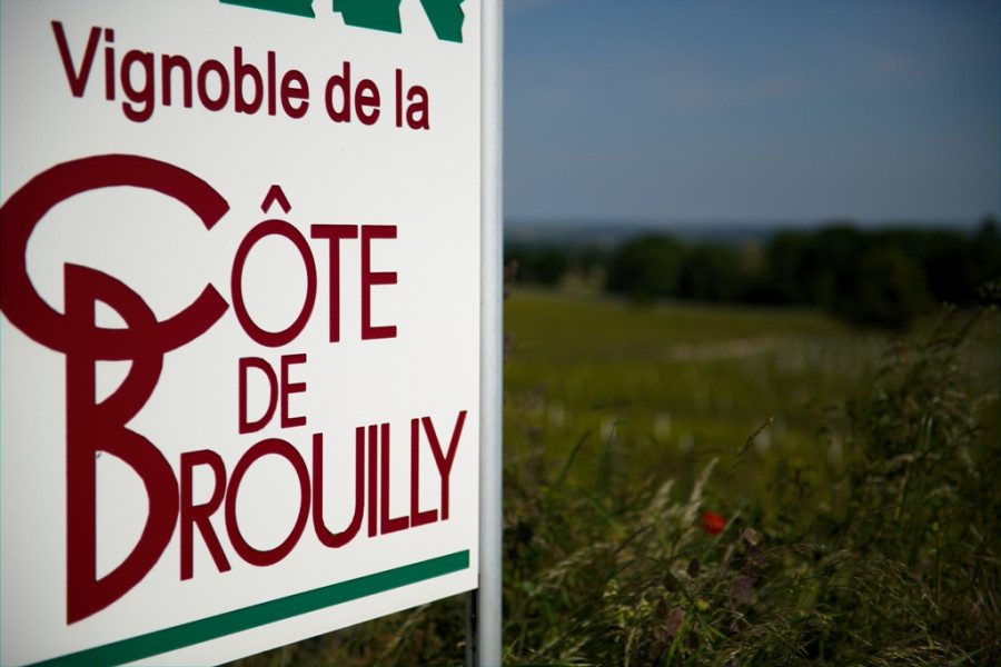 Beaujolais ... An Exceptional Vineyard