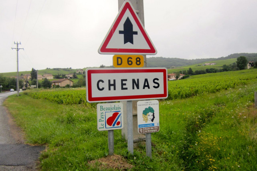 Beaujolais ... An Exceptional Vineyard