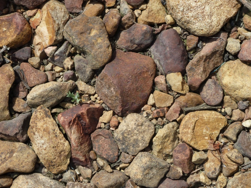 Beaujolais ... An Exceptional Vineyard