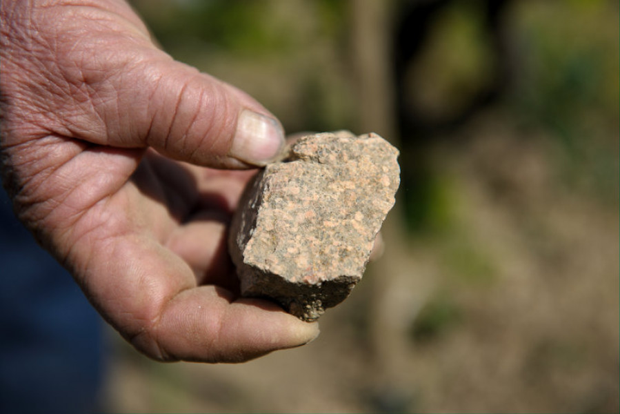 Le Beaujolais… Un Vignoble d’Exception