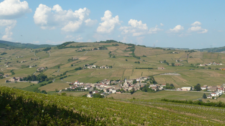 Le Beaujolais… Un Vignoble d’Exception