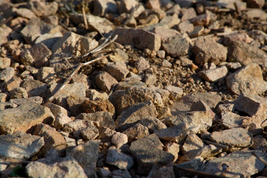 Le Beaujolais… Un Vignoble d’Exception