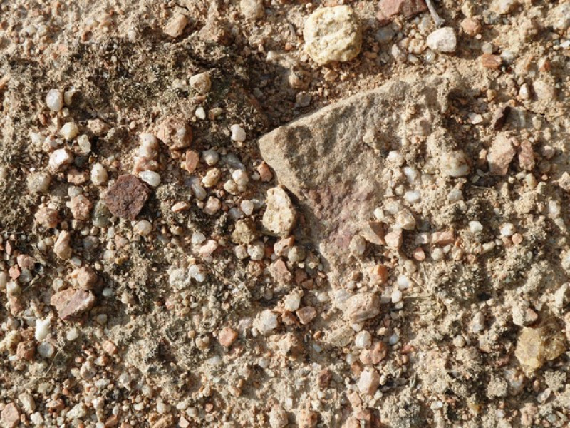 Beaujolais ... An Exceptional Vineyard