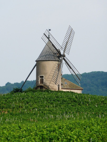 Le Beaujolais… Un Vignoble d’Exception