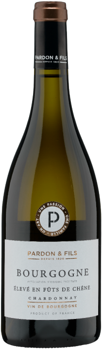 Bourgogne Chardonnay - « Élevé en fûts de chêne » - Pardon & Fils