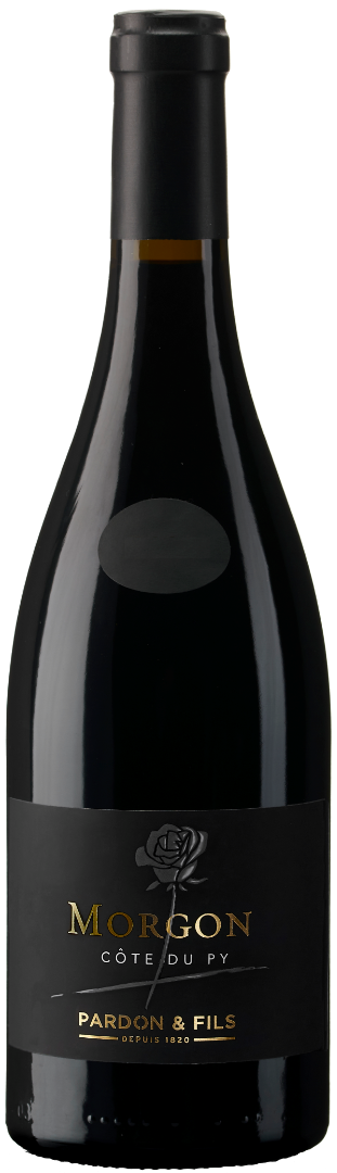 Morgon - « Côte du Py - Cuvée d'exception » - Pardon & Fils